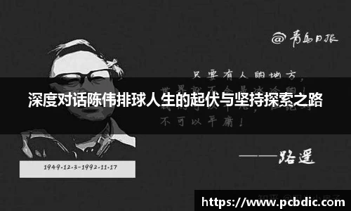 深度对话陈伟排球人生的起伏与坚持探索之路